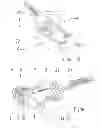 Fig. 07 - BREWING UNIT FOR A COFFEE MACHINE