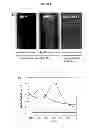 Fig. 03 - Green approach in metal nanoparticle-embedded antimicrobial coatings from vegetable oils and oil-based materials