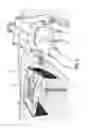 Fig. 04 - Portable Beach Table Assembly