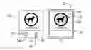 Fig. 01 - OFF-LEASH ANIMAL AUTHORIZATION METHOD AND SYSTEM