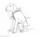 Fig. 01 - PET DIAPER HOLDER