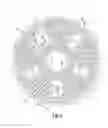 Fig. 04 - Valve timing control