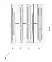 Fig. 07 - OPPOSED PISTON ENGINE WITH NON-COLLINEAR AXES OF TRANSLATION