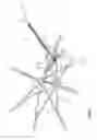 Fig. 08 - UMBRELLA WITH OFFSET GORE