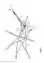 Fig. 09 - UMBRELLA WITH OFFSET GORE
