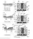 Fig. 09 - Photovoltaic device and method of manufacturing the same