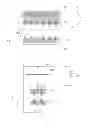 Fig. 03 - Dye-sensitized type solar cell
