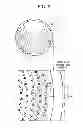 Fig. 04 - Plasma processing apparatus
