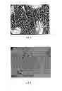 Fig. 03 - Stretchable Nonwoven Materials