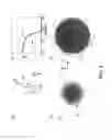 Fig. 07 - Thermal extraction using radiation