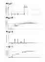 Fig. 06 - Impact rotation tool