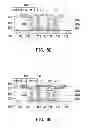 Fig. 07 - Packaging carrier and manufacturing method thereof and chip package structure
