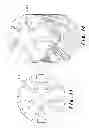 Fig. 08 - Wear indicators for drilling equipment