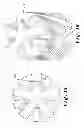 Fig. 09 - Wear indicators for drilling equipment