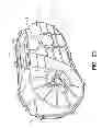Fig. 25 - Side-by-side vehicle