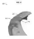 Fig. 05 - Turbo drum for drum brakes