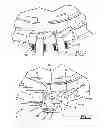 Fig. 05 - Electric actuator module for selectable clutch