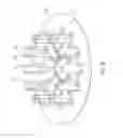 Fig. 09 - Wet clutch for a motorcycle