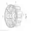 Fig. 14 - Wet clutch for a motorcycle