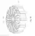 Fig. 27 - Wet clutch for a motorcycle