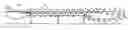 Fig. 01 - Lug loader