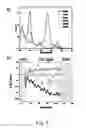 Fig. 08 - METHOD AND DEVICE TO MODIFY PROPERTIES OF MOLECULES OR MATERIALS