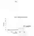 Fig. 07 - Electron transfer mediators for enzyme-based biosensor