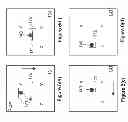 Fig. 06 - Microfluidic devices and applications thereof