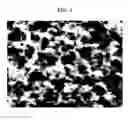 Fig. 07 - Resin-metal bonded body and method for producing the same