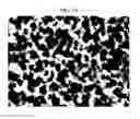 Fig. 08 - Resin-metal bonded body and method for producing the same