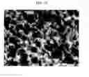 Fig. 10 - Resin-metal bonded body and method for producing the same