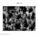 Fig. 11 - Resin-metal bonded body and method for producing the same