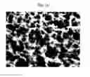 Fig. 14 - Resin-metal bonded body and method for producing the same