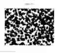 Fig. 15 - Resin-metal bonded body and method for producing the same