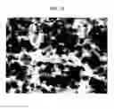Fig. 17 - Resin-metal bonded body and method for producing the same