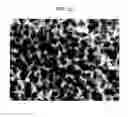 Fig. 20 - Resin-metal bonded body and method for producing the same