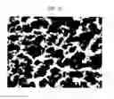Fig. 22 - Resin-metal bonded body and method for producing the same