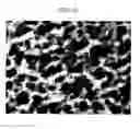 Fig. 23 - Resin-metal bonded body and method for producing the same