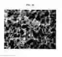 Fig. 24 - Resin-metal bonded body and method for producing the same