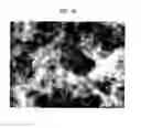 Fig. 26 - Resin-metal bonded body and method for producing the same