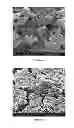 Fig. 06 - Lithium extraction composition and method of preparation thereof