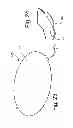 Fig. 09 - DRAINING DEVICE FOR FOOD STUFFS