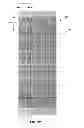 Fig. 11 - Filtration barrier