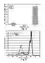 Fig. 03 - Plasma mediated ashing processes that include formation of a protective layer before and/or during the plasma mediated ashing process