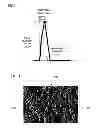 Fig. 04 - Wire electric discharge machine and wire electric discharge machining method