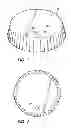 Fig. 06 - DRINK LID WITH STRAW ACCESS