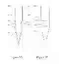 Fig. 04 - NON-CORING REDUCED SHEARING NEEDLE