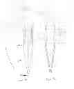 Fig. 17 - NON-CORING REDUCED SHEARING NEEDLE