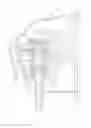 Fig. 10 - Wall mounted dispenser