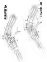 Fig. 04 - Spray pattern adjustment for mop